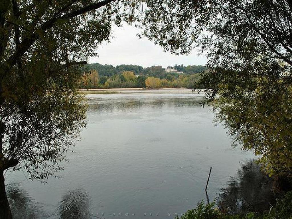 149 ANGERS MAINE ET LOIRE_000064.jpg